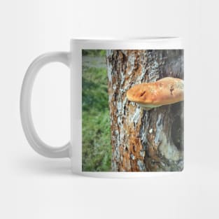 Mushroom on tree trunk Mug